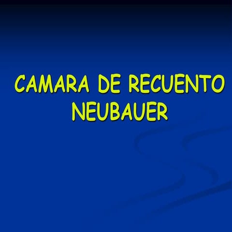 Camara de recuento neubauer