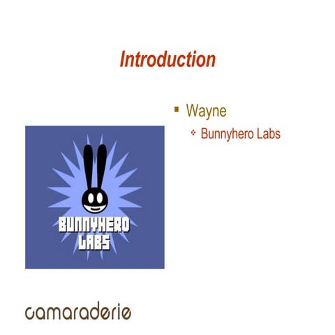 Wayne A Lee + Rachel Young: Camaraderie