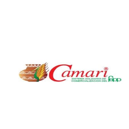 Camari 1