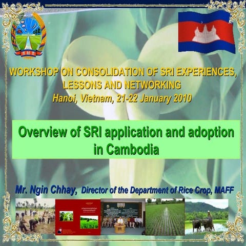 1030 Overview of SRI application and adoption in Cambodia