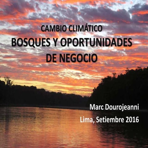 Cambio climático bosques y negocios