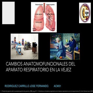 Cambios anatomofuncionales del Apar...