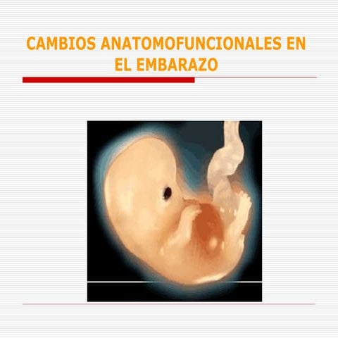 Cambios anatomofuncionales en el embarazo