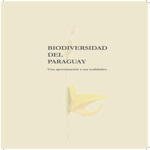 Cambios en el paisaje  evolución de la cobertura vegetal en la región oriental del paraguay