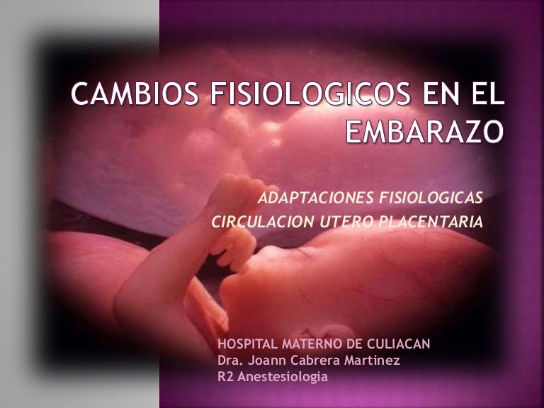 Cambios Fisiologicos En El Embarazo