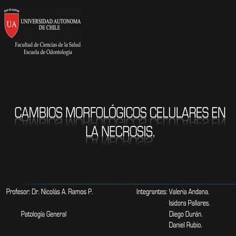 Cambios morfologicos celulares en la necrosis full version1.2
