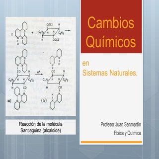 Cambios químicos