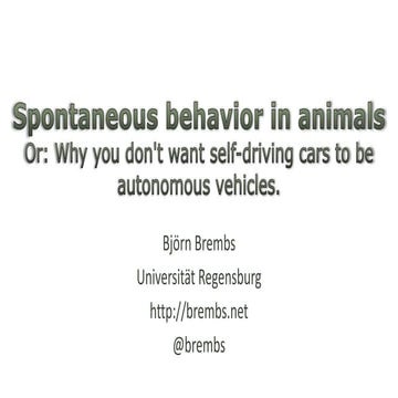 Spontaneous behavior in animals