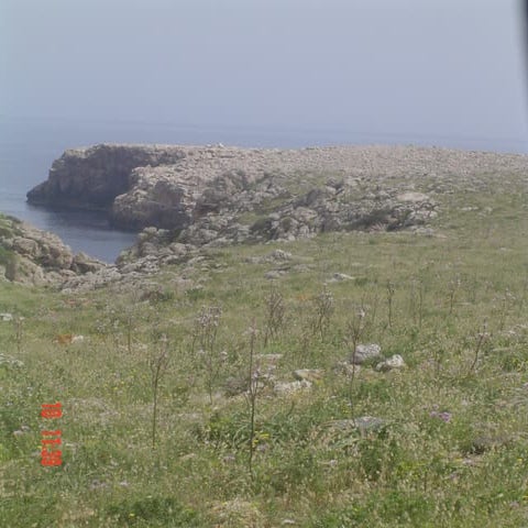 Camí de cavalls far nati