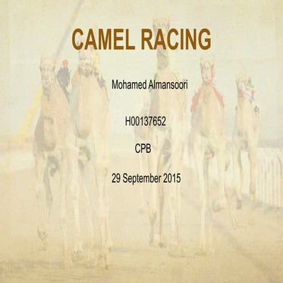 Camel racing | PPT