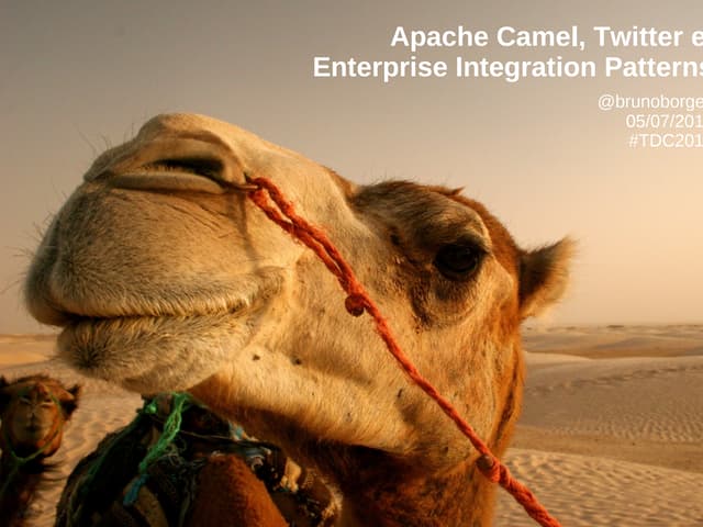 Divirta-se com Apache Camel, Twitte...