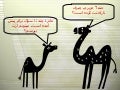 Camel Story