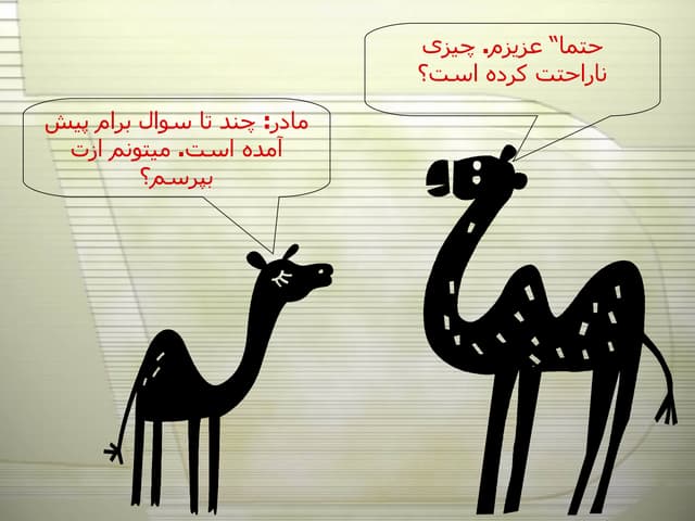 Camel Story