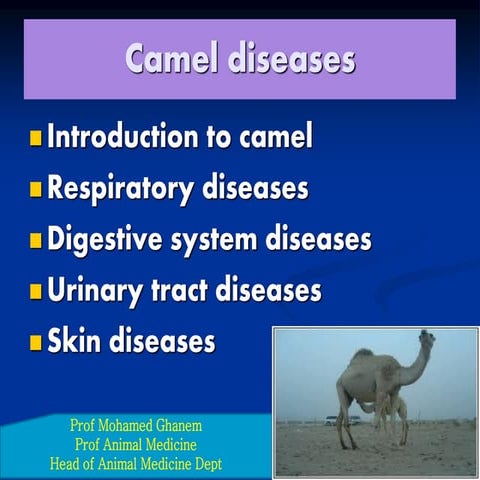 Camel diseases 2016 | PPT