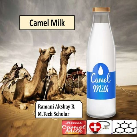 Camel milk