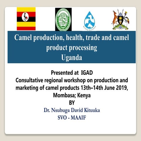 Camel production, health, trade and camel product processing in uganda