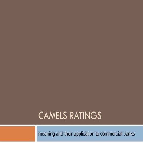 CAMELS RATINGS exercise for bank evaluation