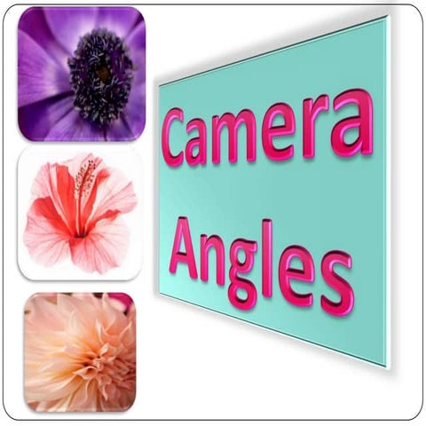 Camera Angles