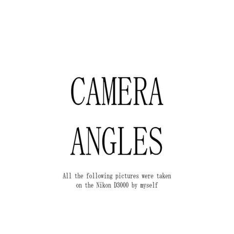 Camera angles
