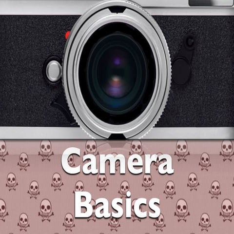 Camera basics