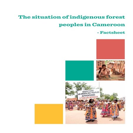 Cameroon Factsheet (EN).pdf