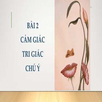 Cảm giác và tri giác và chú ý .pdf