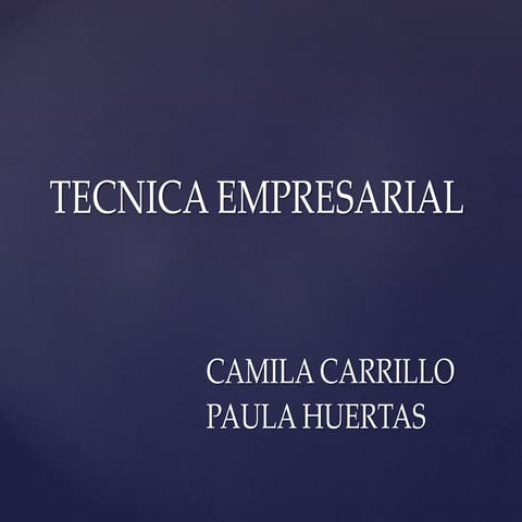 Tecnica empresarial