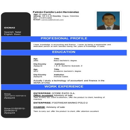 CV FORM | DOCX