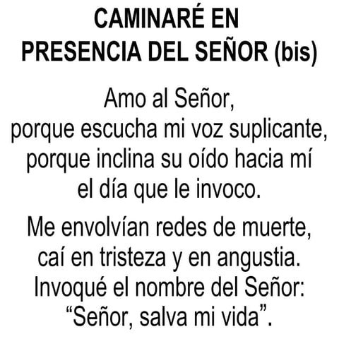 Caminaré en presencia del Señor salmos | PPT
