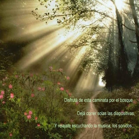 Caminataporelbosque[1]
