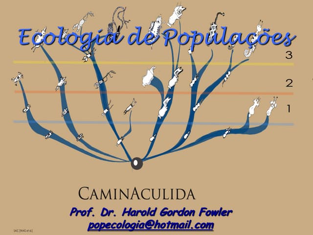 Caminiculas e classificação