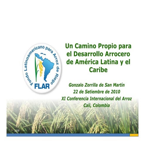 Camino desarrollo arrocero_lac