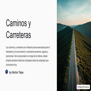 La importancia de la Carretera Central Reporte