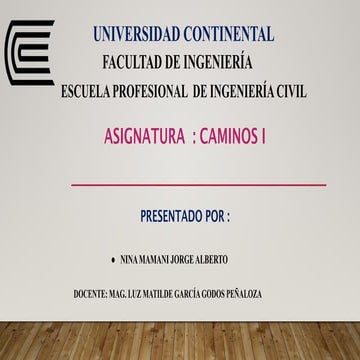 CAMINOS universidad continetal  asignatura