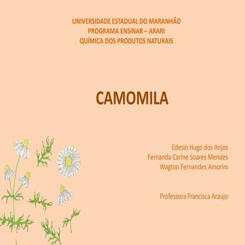 Camomila