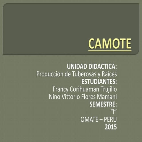 Camote