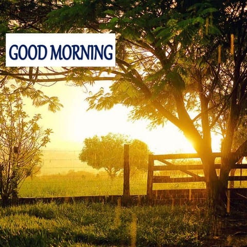 Camouflage in orthodontics