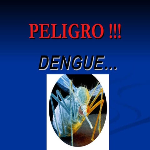 Campaña contra el Dengue 1ro 1ra Cep2,Resistencia Chaco