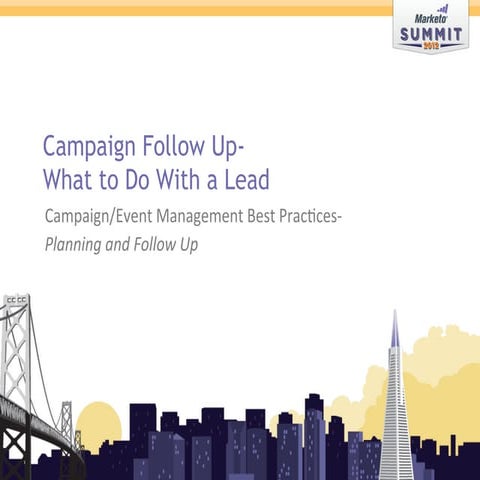 Campaign follow up  what to do with a lead 5-24-2012 mm