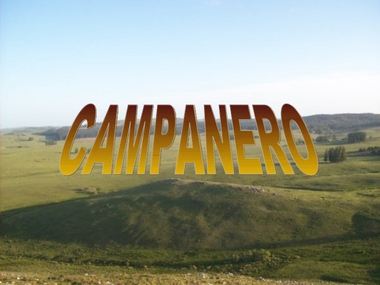 Campanero