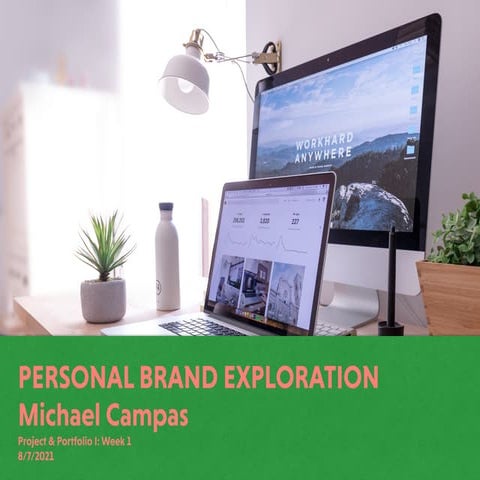 Michael Campas  PB Project 1: Exploring Your Personal Brand