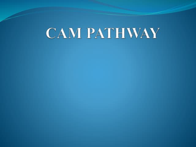 Cam pathway