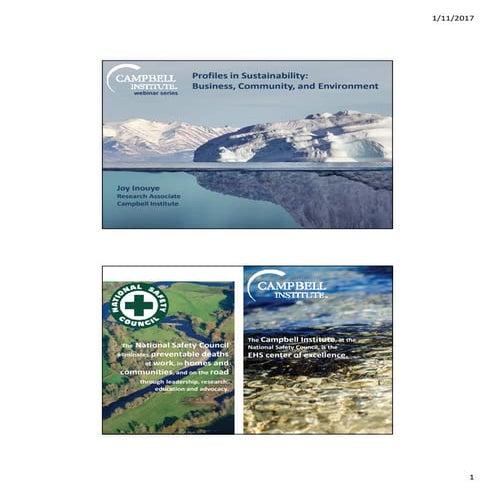 Profiles in Sustainability: Business, Community, and Environment