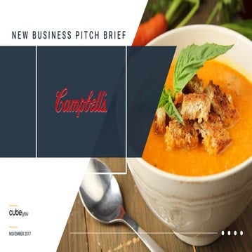 Campbell's Pitch Brief