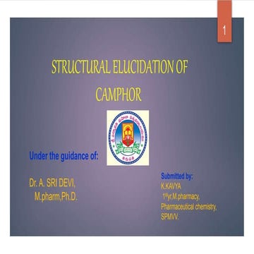 structural elucidation of camphor