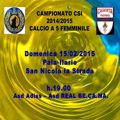 Campionato csi 2014
