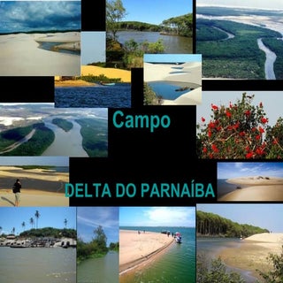 Delta do Parnaíba -Geografia  