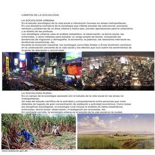 Campos de la sociologia