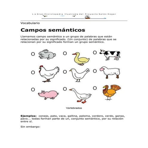 Campo semantico