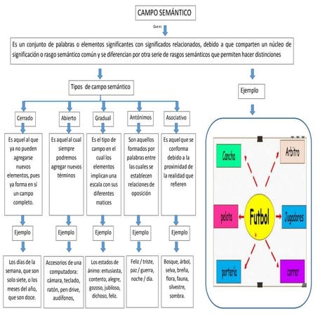 campo semantico.docx
